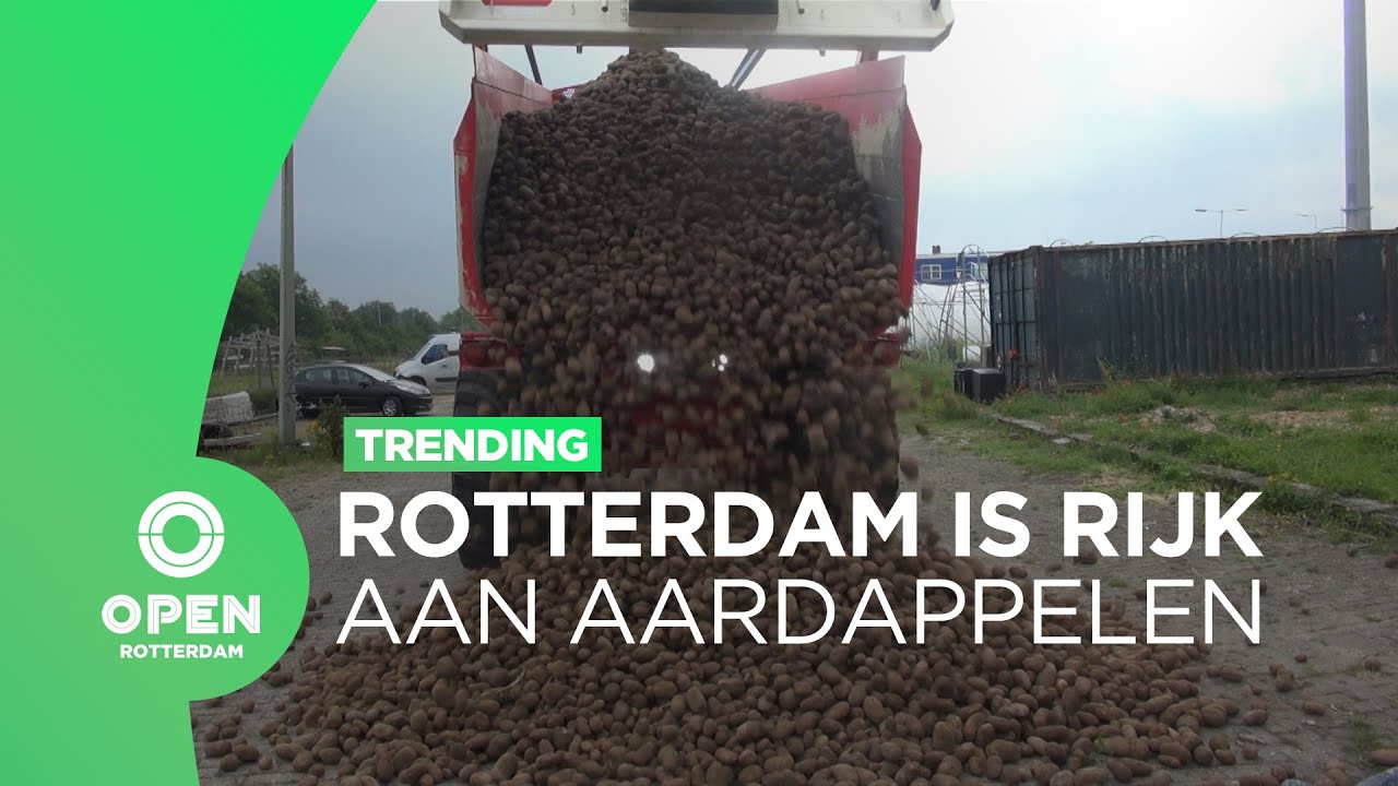 Waarom liggen er 15.000 kilo aan aardappels op een parkeerplaats? | Trending