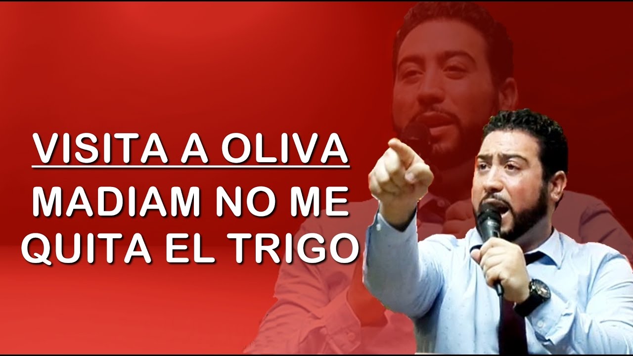 Pedro Losada | MADIAM NO ME QUITA EL TRIGO | EN OLIVA / DVD