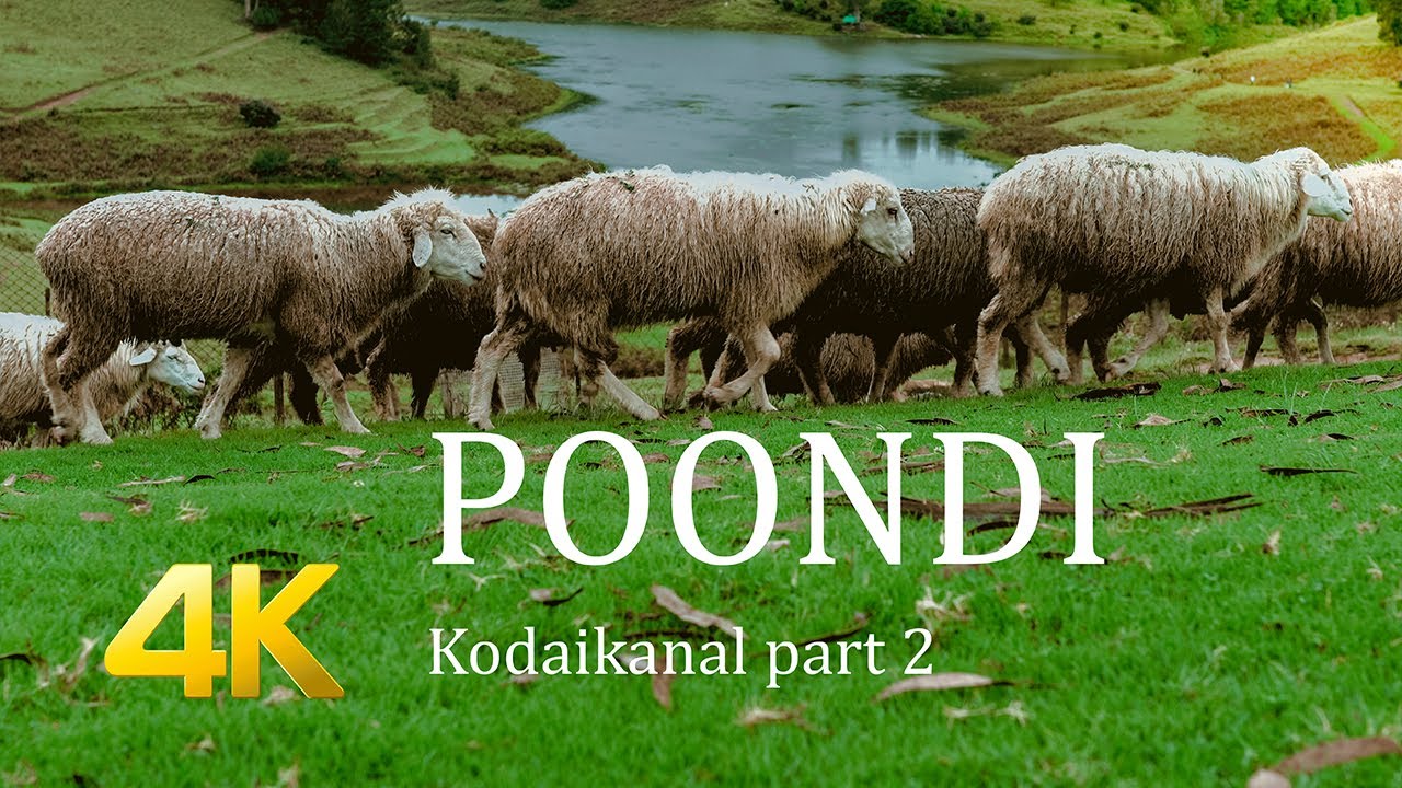 POONDI , KODAIKANAL, MANNAVANUR