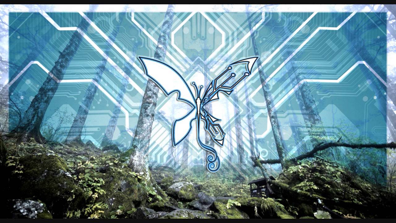 Electro Silver/Cybernatural - Live Dj Set - Digital Nexus Forest Fest