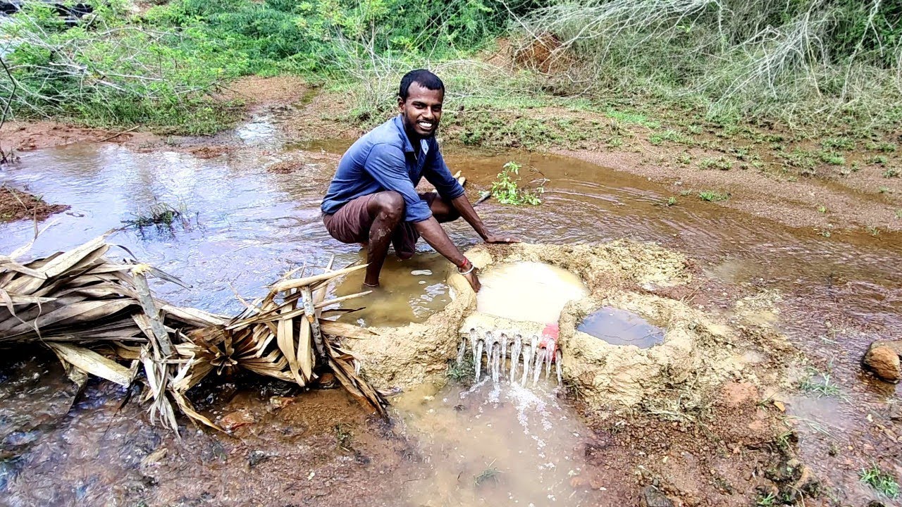 Amazing fish Trap | பொத்தல் கட்டையில் மீன் வேட்டை #fishing #fishtrap