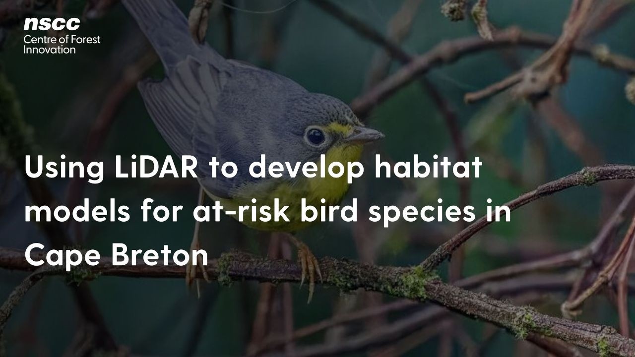 Event recording: Using LiDAR to develop habitat models for at-risk bird species in Cape Breton