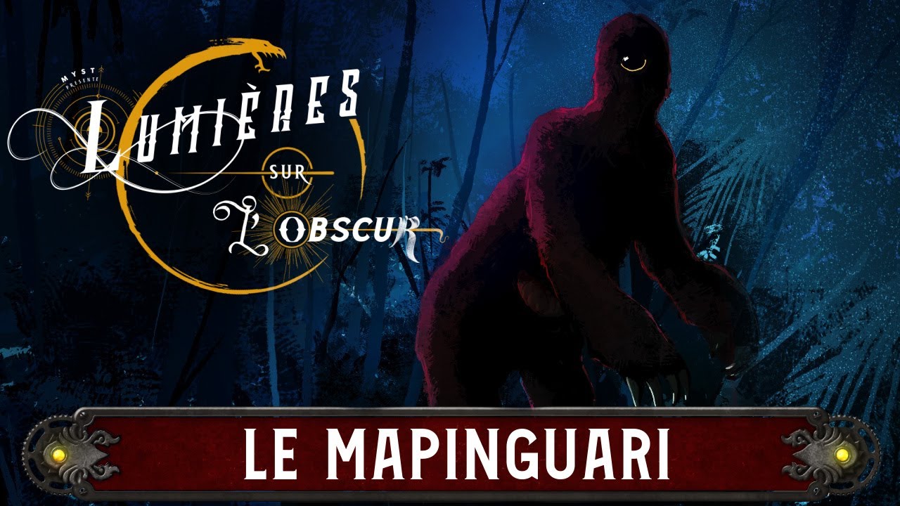 LUMIÈRES SUR L'OBSCUR : LE MAPINGUARI