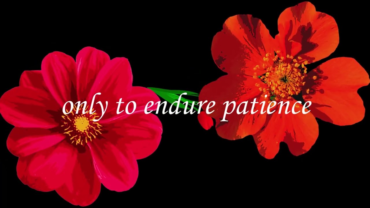 I waited for you my love/Valentine love poem