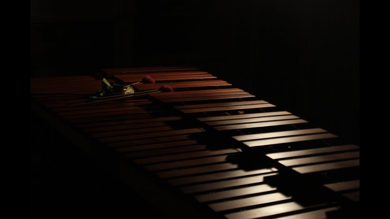...Just the Light We See - solo marimba by Lauren Teel