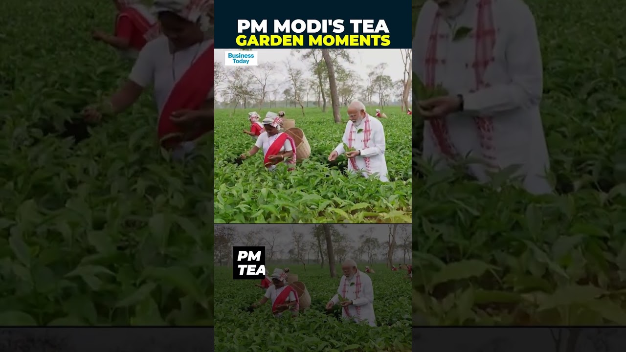 PM Modi Connects With Tea Workers In Assam | Cultural Moments Goes Viral