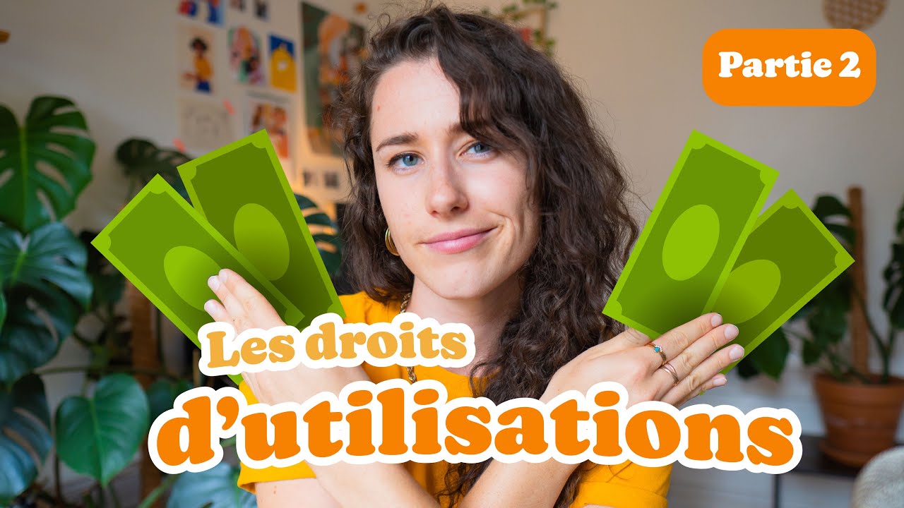 Comment facturer et définir les droits d'utilisations de vos illustrations ? (Partie 2/2)