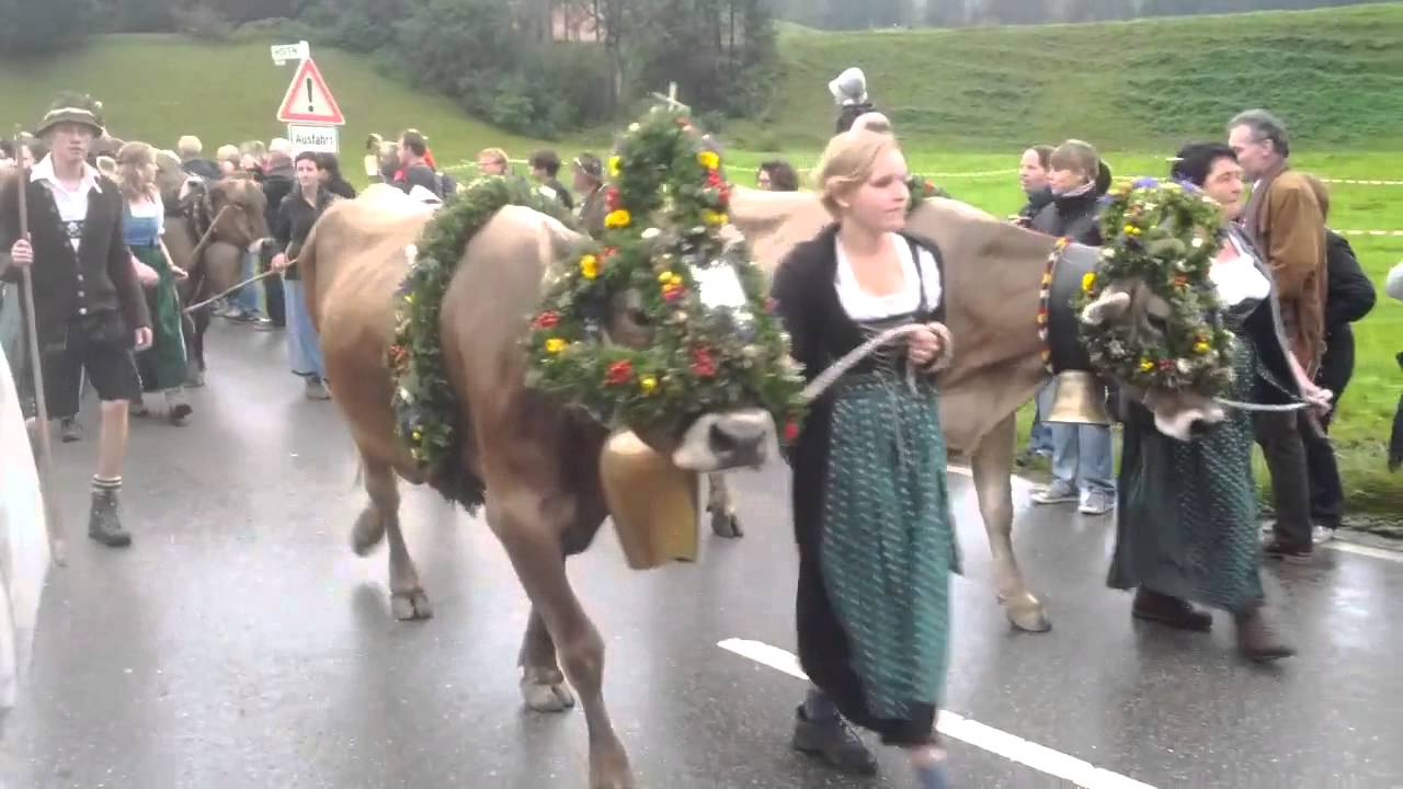 Viehscheid 2014 Oberstaufen