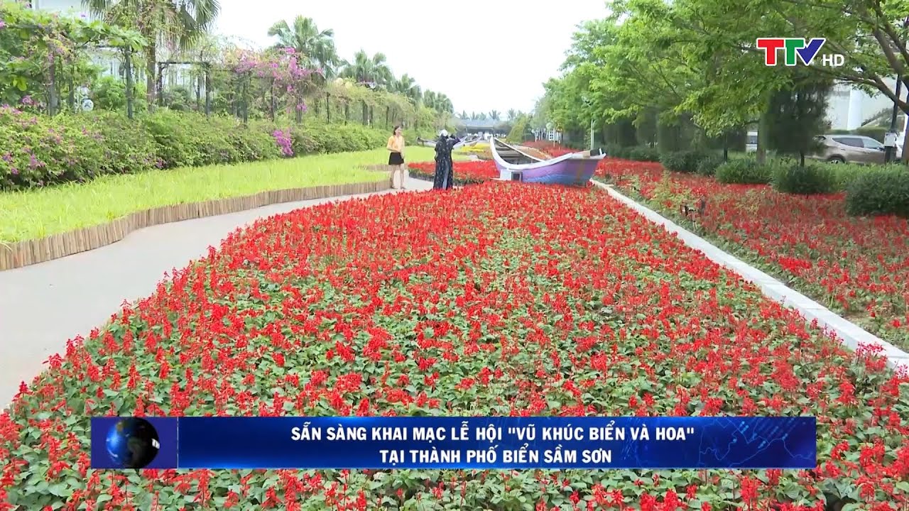 Sẵn sàng khai mạc Lễ hội ‘Vũ khúc biển và hoa’ có bắn pháo hoa tại Sầm Sơn | PTTH Thanh Hóa