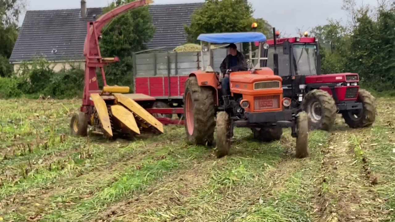 🌽Ensilage à l’ancienne 2021 #2