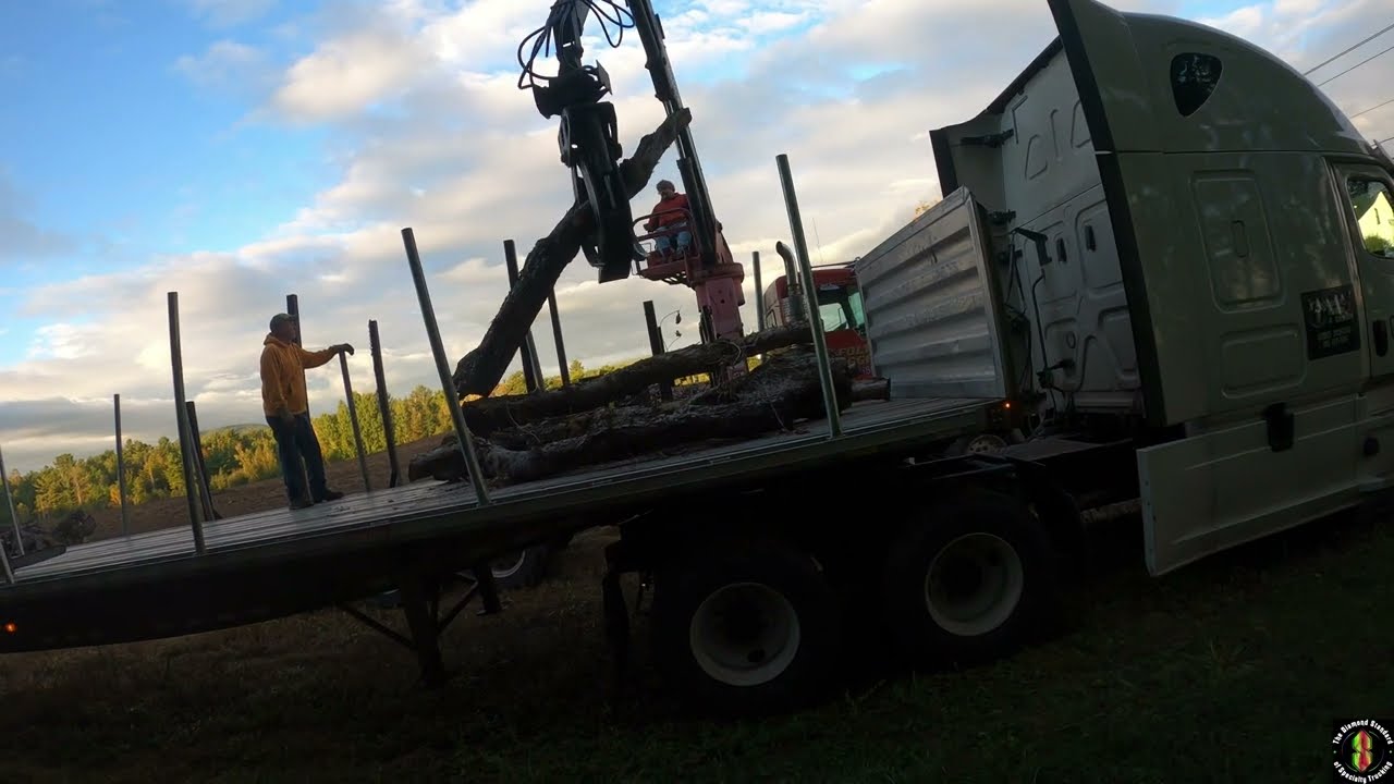 Log LIED and Hog Tied! 2 Hour Delivery Mishap special!
