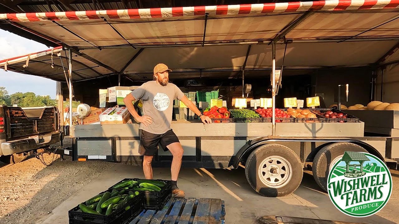 HUGE DAY OF HARVESTING AND PACKING VEGGIES FOR 6 FARMERS' MARKETS