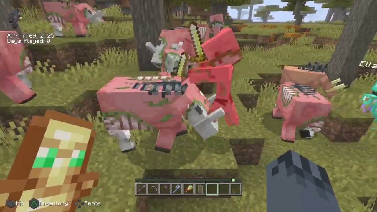 Minecraft Bedrock Console Aspects