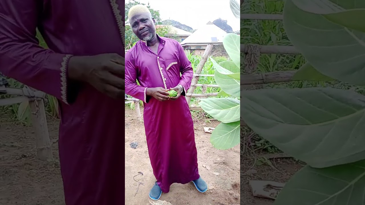 PROTECTION FOR EVERYONE ( IDAABOBO fun ARA 