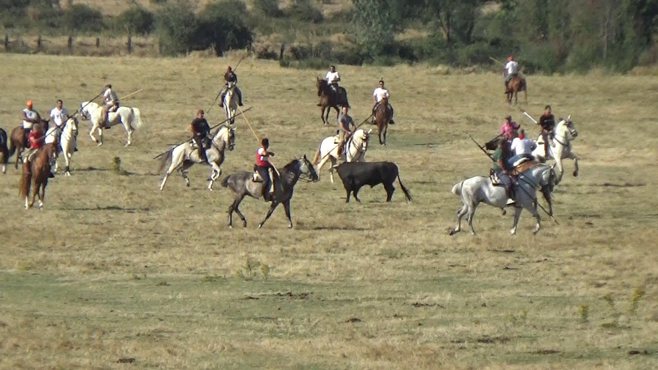 Argujillo 2022  prao y calle  15 - 8