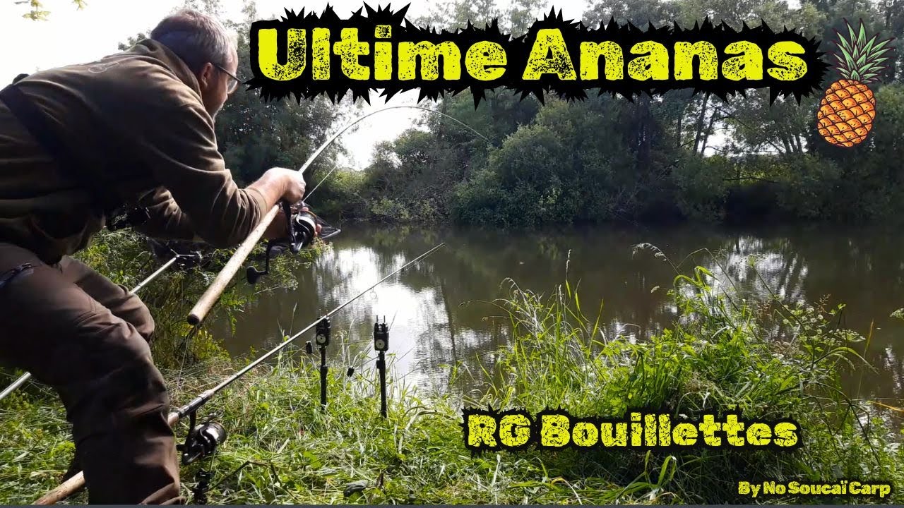 Ultime Ananas