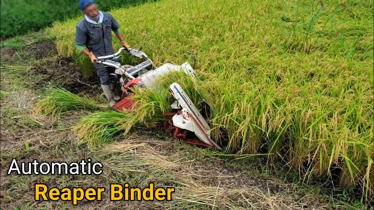 Advance Reaper Binder Machine for Agriculture | Business Ideas