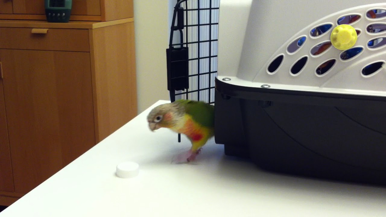 House keeping or what?  ハウスキーピングとは？