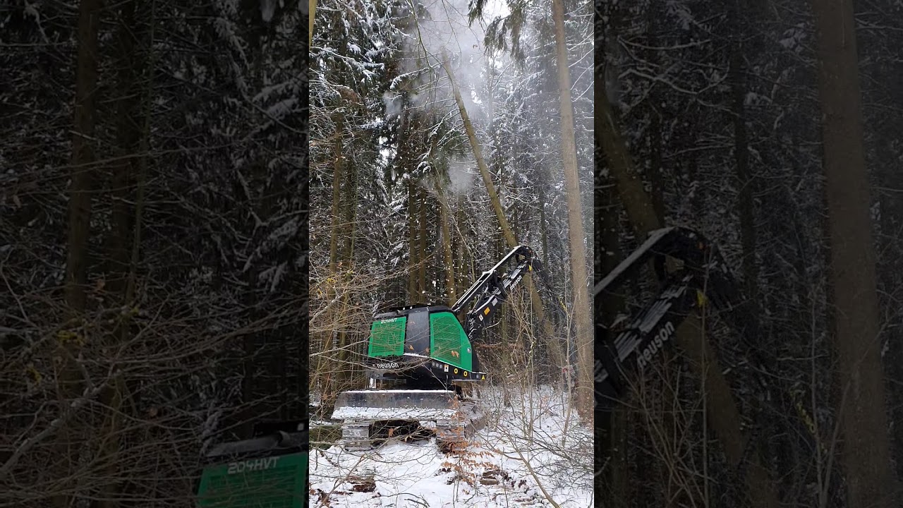 Neuson Forest 204HVT Logmax 5000D