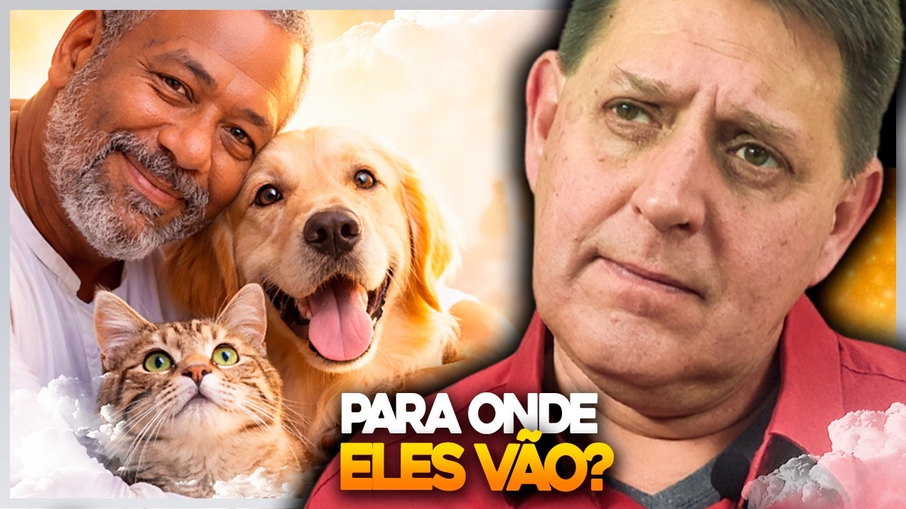 PARA ONDE NOSSOS ANIMAIS VÃO QUANDO M0RR3M?