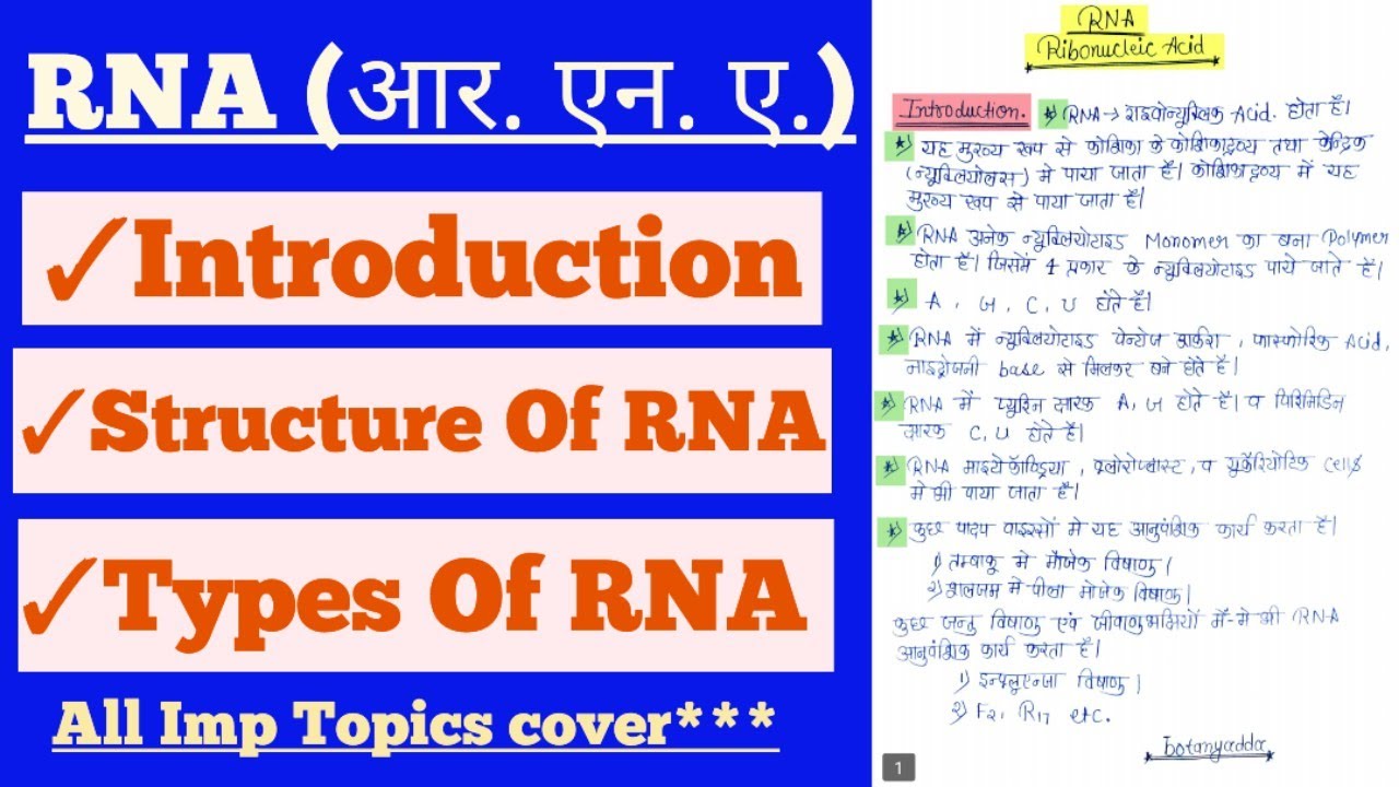RNA (आरएनए) In Hindi || Types Of RNA || Structure Of RNA In Hindi @botanyadda #rna