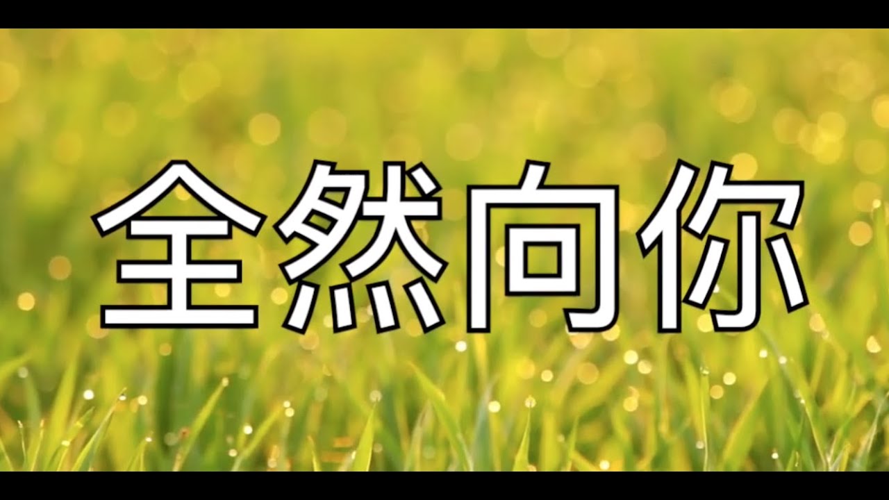 全然向你 伴奏