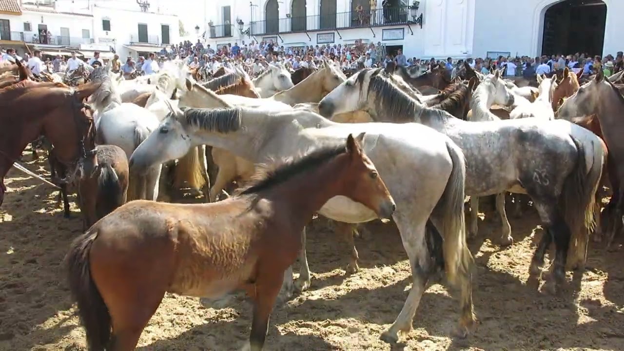 Saca de Yeguas 2023 . Bendición en la Ermita del Rocío