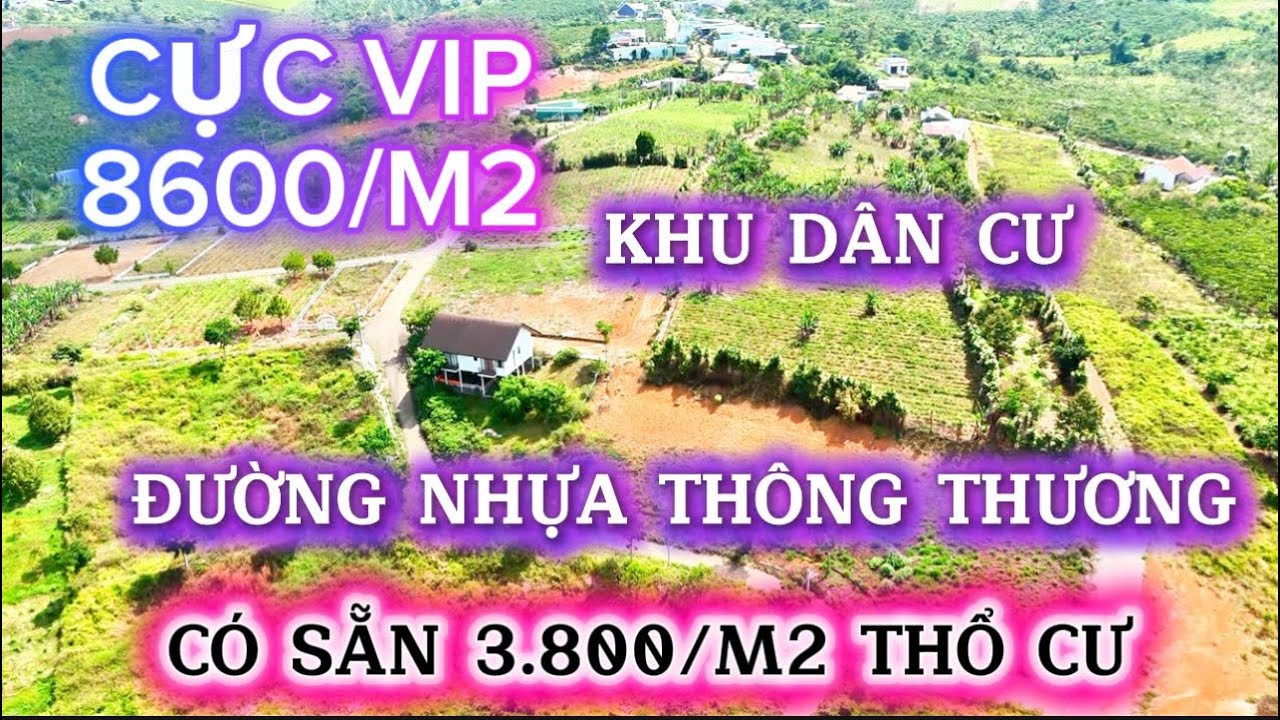 SIÊU VIP