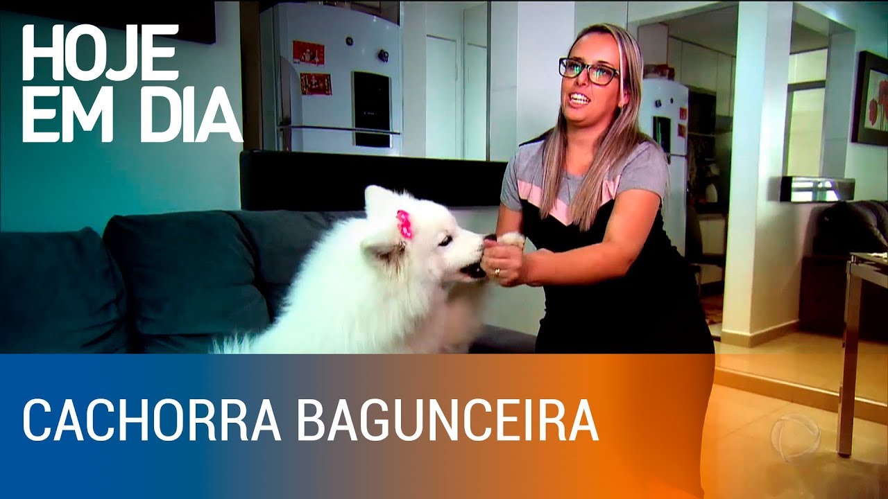 Julinho Casares ajuda telespectadora a domar cão bagunceiro