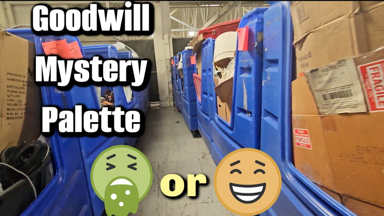 I Bought a Goodwill Mystery Palette for $60 | Was it Worth It?!