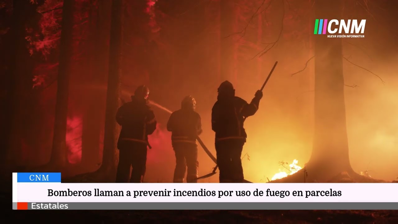 🔥⚠️ Temporada de calor aumenta riesgo de incendios