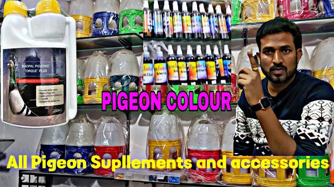 PIGEON ACCESSORIES AND SUPPLEMENTS AT ONE PLACE IN DELHI @jeetussuperpigeonsdelhi6755