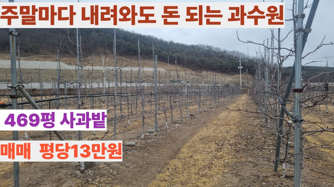 주말마다 내려와도 돈 되는 과수원 469평