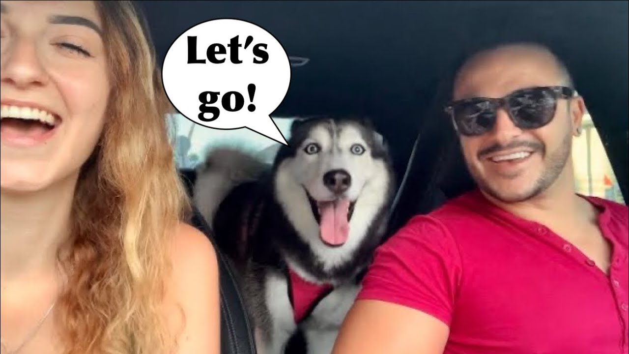 Sunset Family Beach Vlog! 😍 MEEKA TALKS TO EVERYONE! (Subtitles)