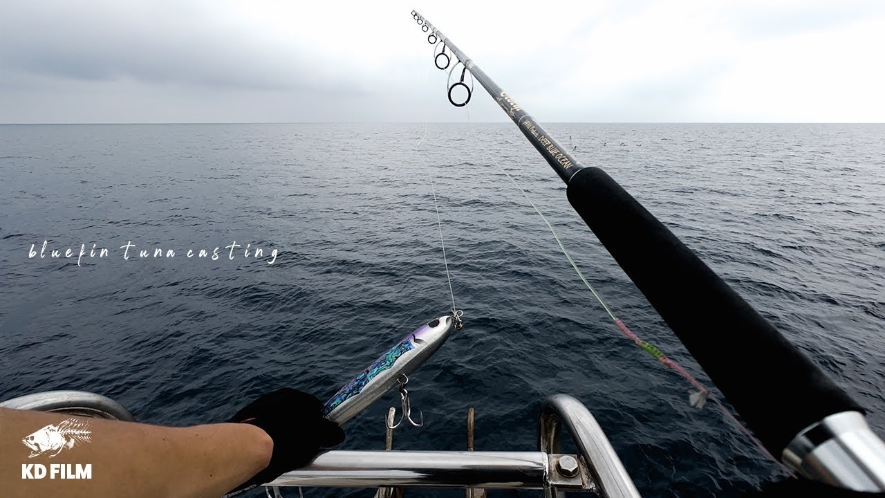 【クロマグロキャスティング】想像を遥かに超える引き/センシティブな状況下で挑む｜KITAPEN200