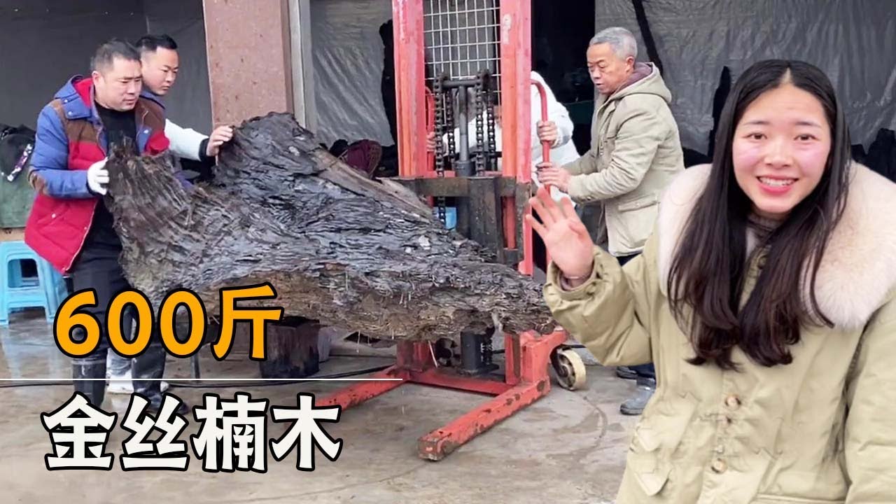 10000多收了一块金丝楠乌木，通体水波纹，全部切出来给粉丝做茶盘【土家瑶妹】