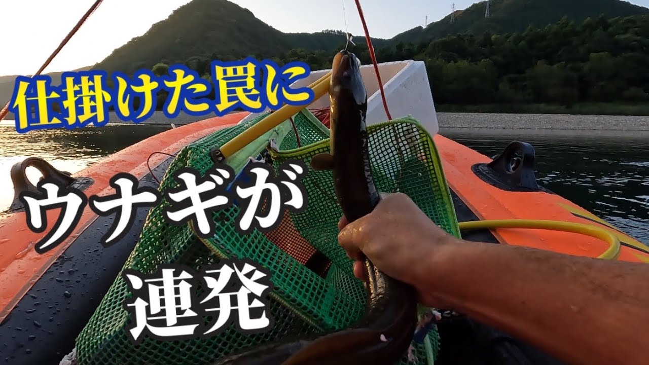 [釣り日記㉘] ウナギがいそうな場所に罠を30本仕掛けてみた！！