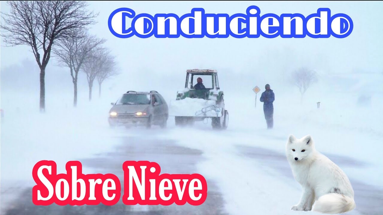 Recorriendo Dinamarca en Auto sobre la nieve