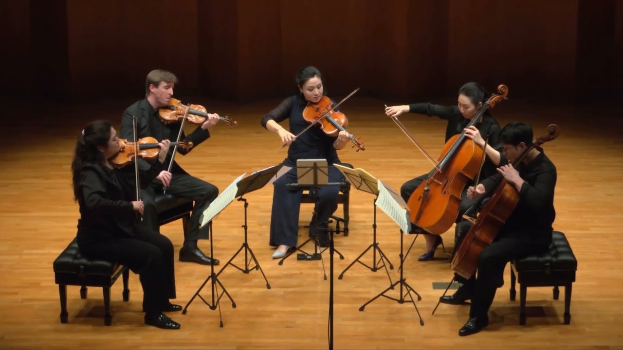 Franz Schubert - String Quintet in C major (1st movement)