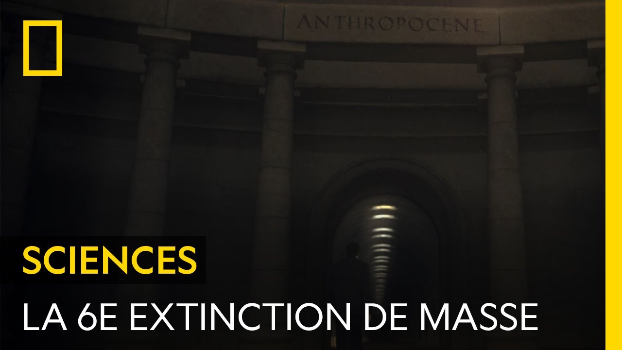 L'anthropocène, ou la sixième extinction de masse