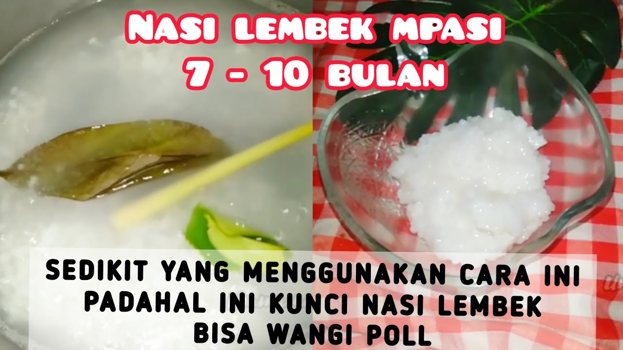CARA MEMBUAT NASI LEMBEK MPASI ATAU NASI TIM YANG WANGI