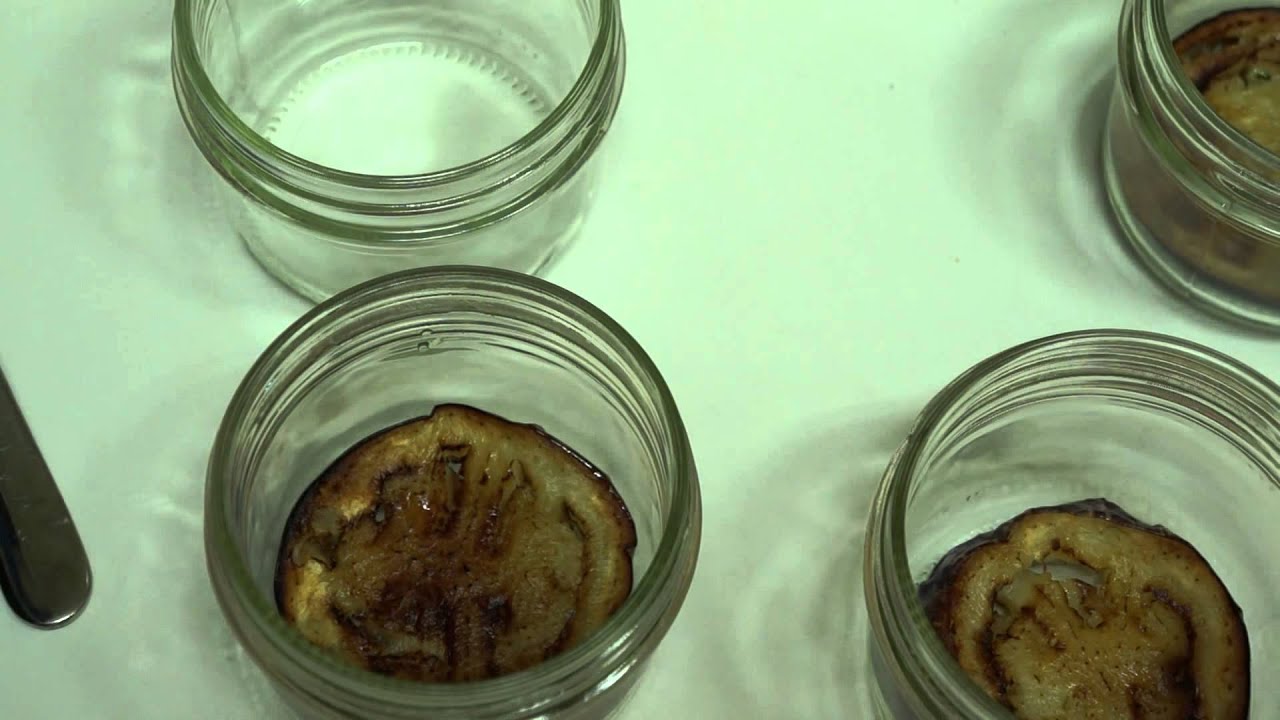 MOUSSAKA (CUISINERAPIDE)