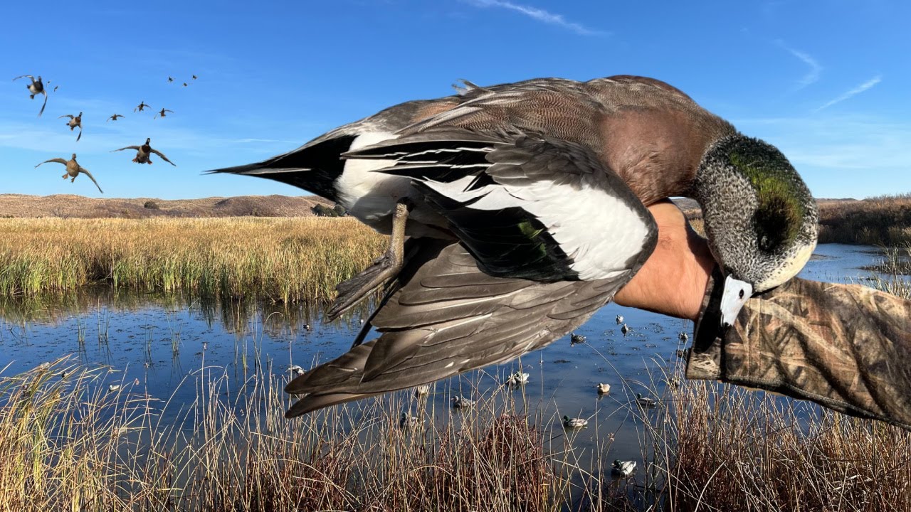 Hunt Trip -  4 Days of Duck Hunting In Beautiful Country!