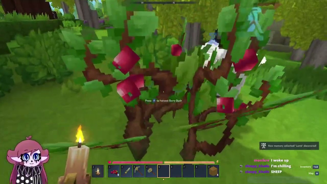 I'm the best at surviving - Hytale