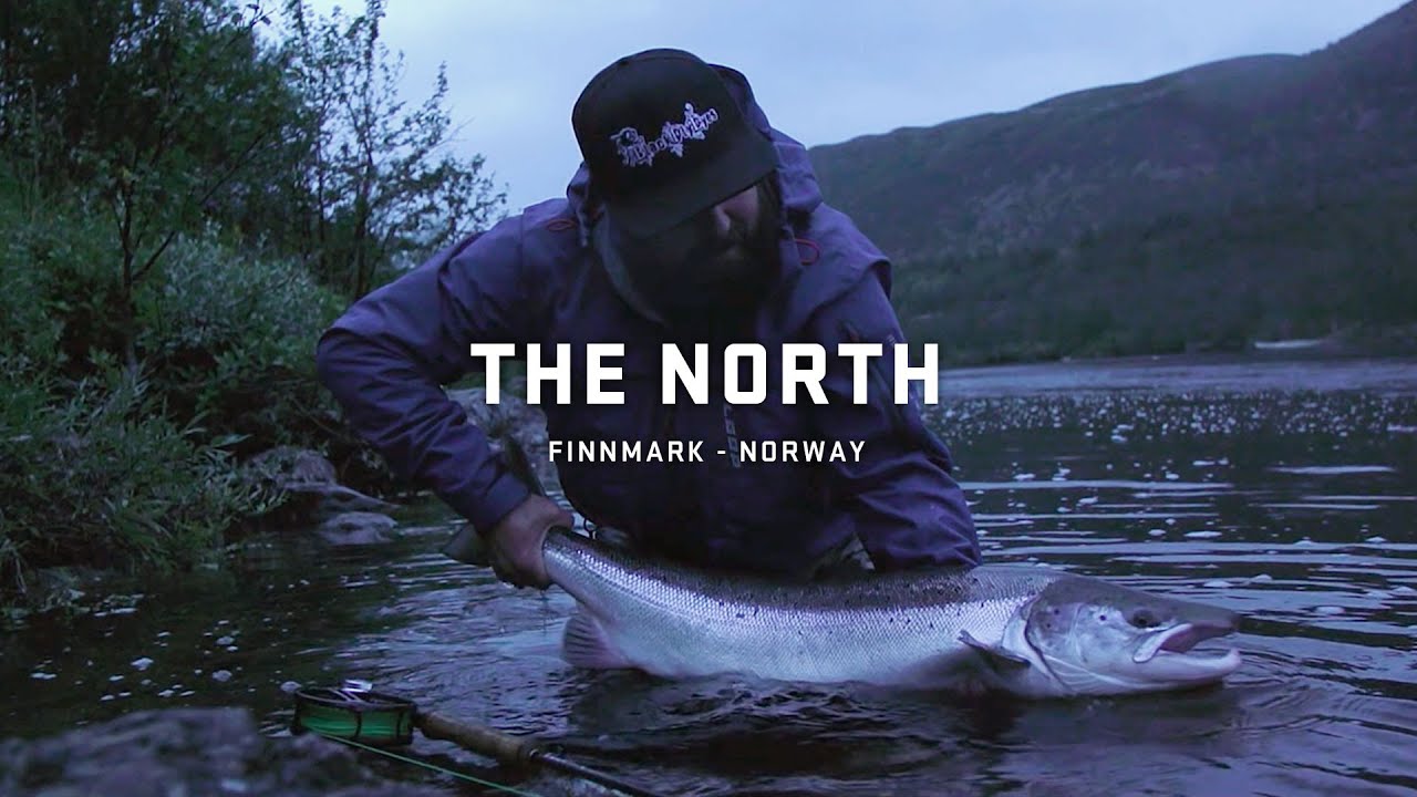 THE NORTH