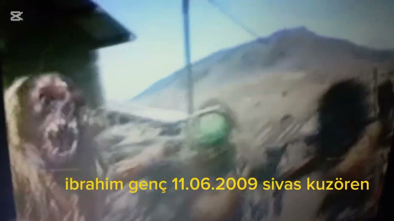 İbrahim genç kılıp halay sivas kuzören köyü güzel komik eylence düğün tarih 11.06.2009