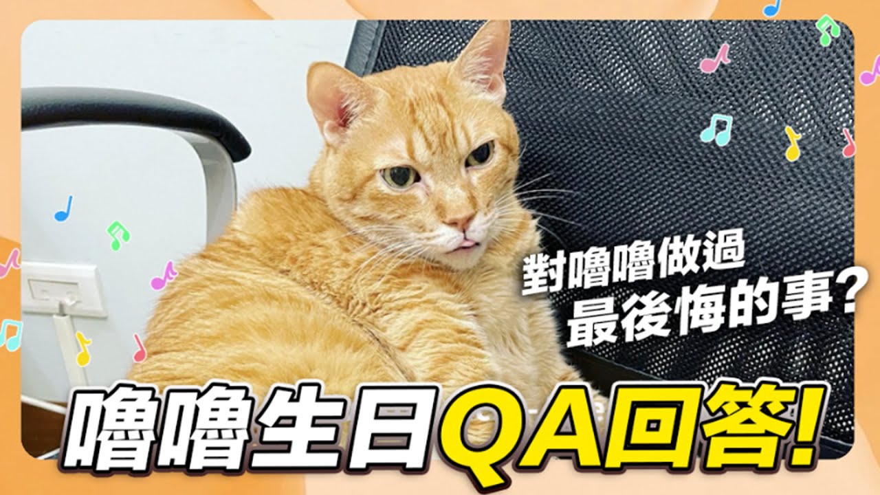【嚕嚕生日QA！對嚕嚕做過最後悔的事？】志銘與狸貓