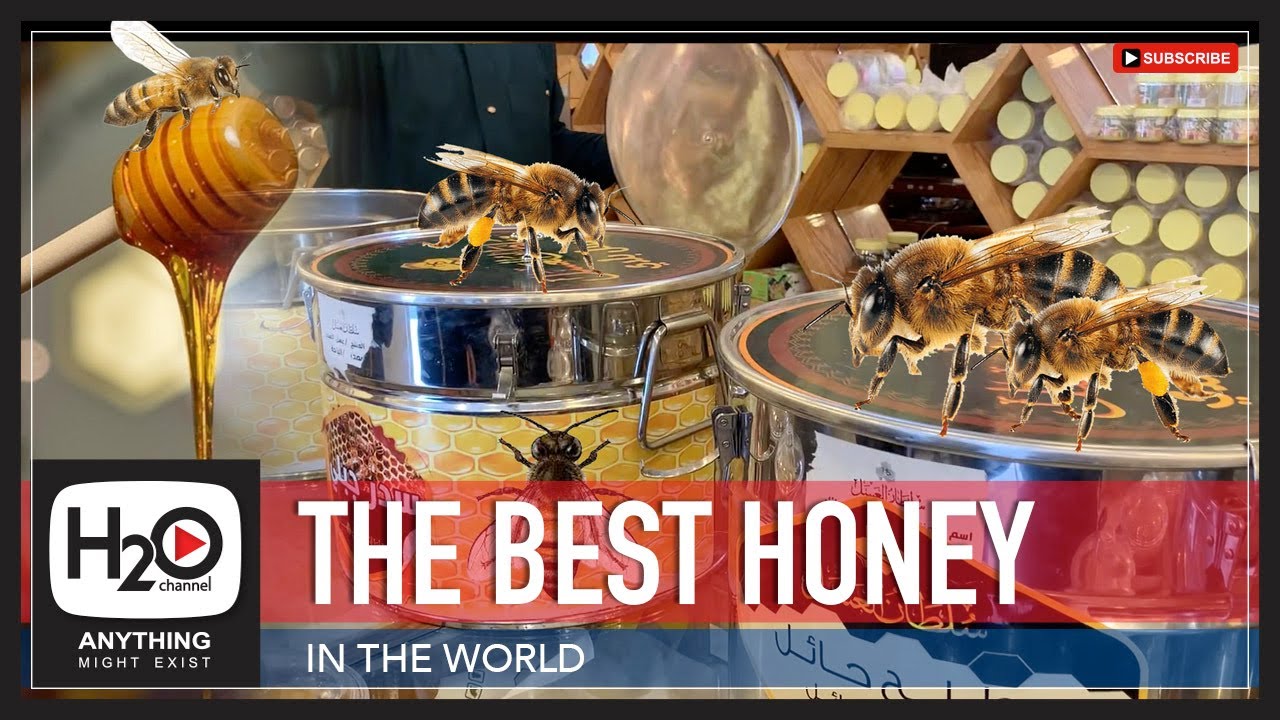 THE BEST HONEY | Where to find pure Honey in KSA | Pure Honey | H2O Channel