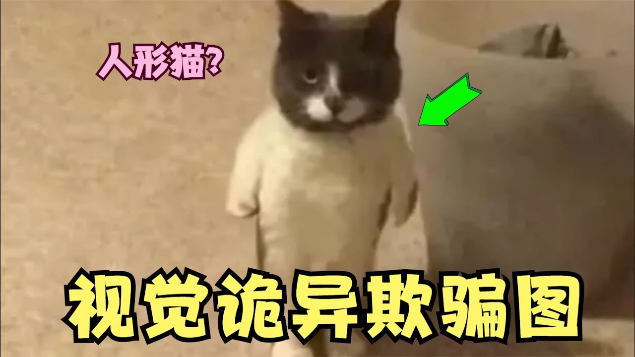 欺骗视觉的诡异图片，看完还相信自己的眼睛吗？