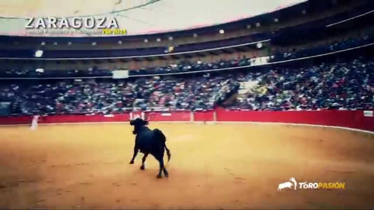 Toropasi&oacute;n - Emoci&oacute;n, valor y espect&aacute;culo en los festejos populares de Zaragoza 2014